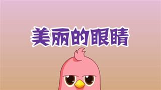 奋斗的小易之《美丽的眼睛》