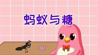 动画六点半之《蚂蚁与糖》