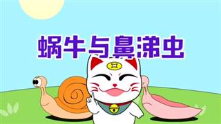 小神猫阿福之《蜗牛与鼻涕虫》